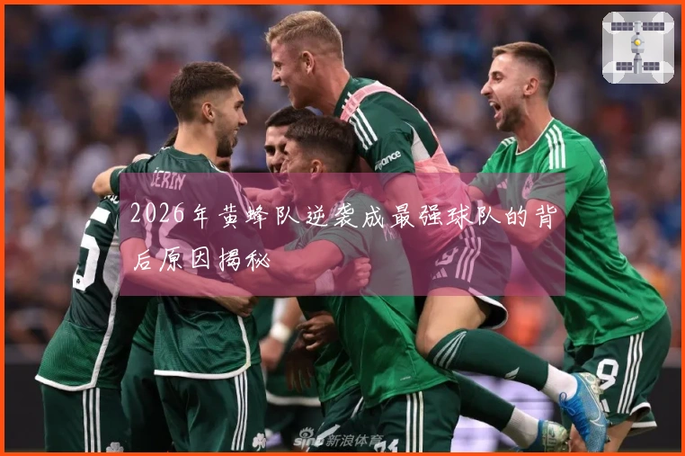 2026年黄蜂队逆袭成最强球队的背后原因揭秘