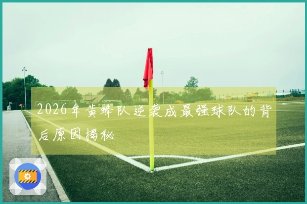 2026年黄蜂队逆袭成最强球队的背后原因揭秘